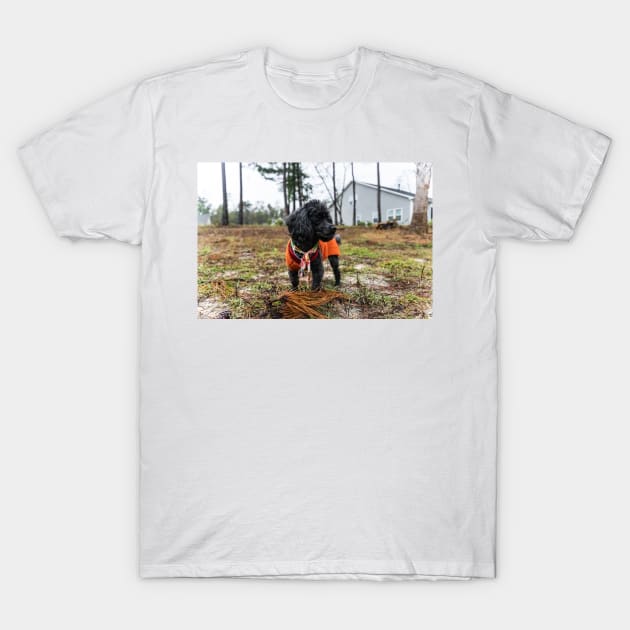 Suburban dog T-Shirt by KensLensDesigns